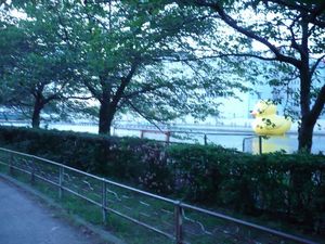 Rubber Duck_1.jpg