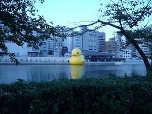 Rubber Duck_3.jpg