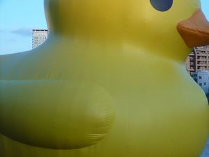 Rubber Duck_7.jpg