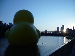 Rubber Duck_9.jpg