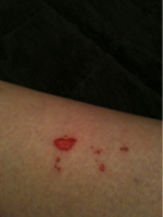 iphone/image-20110109161739.png